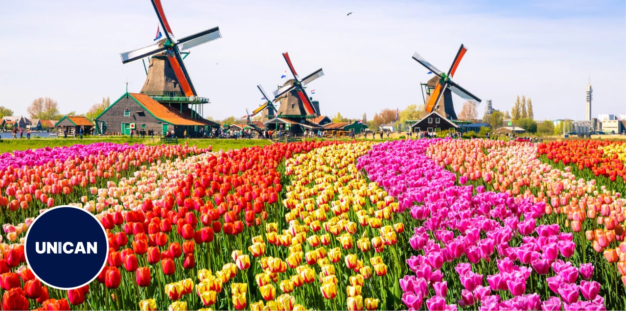 the best ways to immigrate and stay in the Netherlands 2023