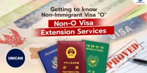 what is the Non-Immigrant Work Visa