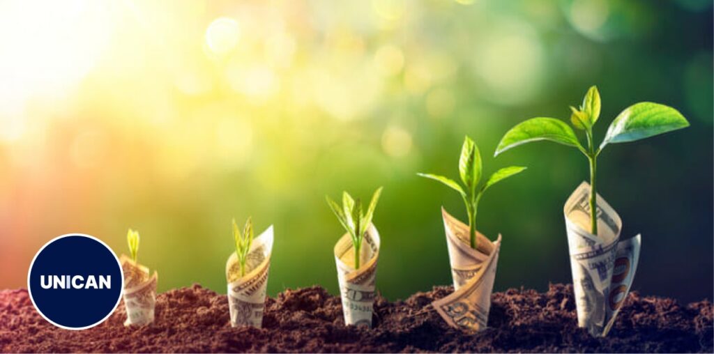 Investment Immigration Programs